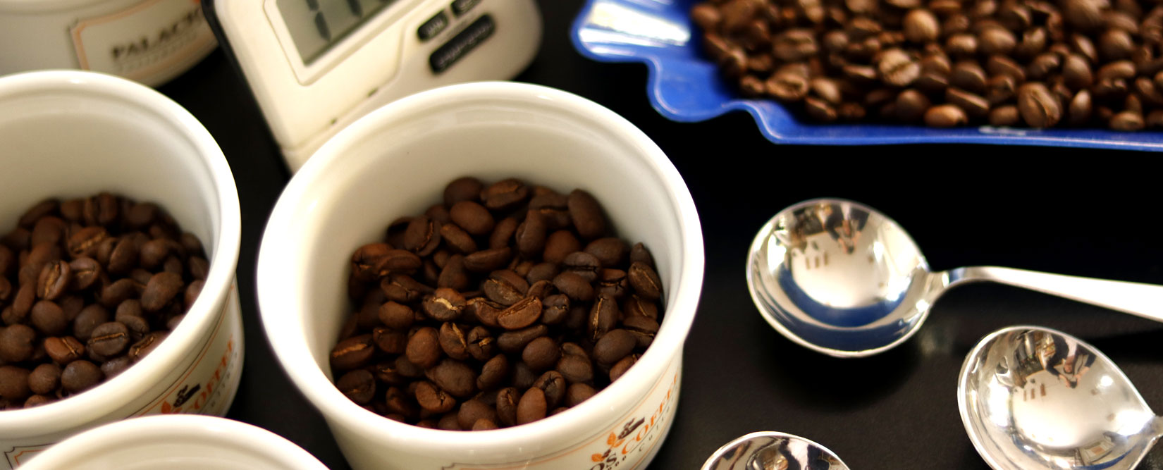 Accesorios y Métodos para café - Palacios Coffee : Palacios Coffee